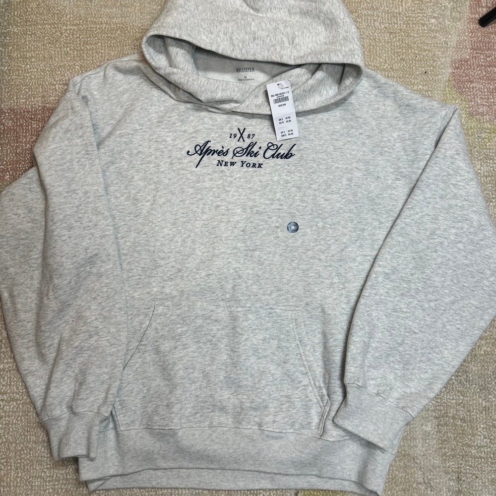 Hollister Mens Hoodie Pullover Gray Après Ski Club New York Graphic Size Medium